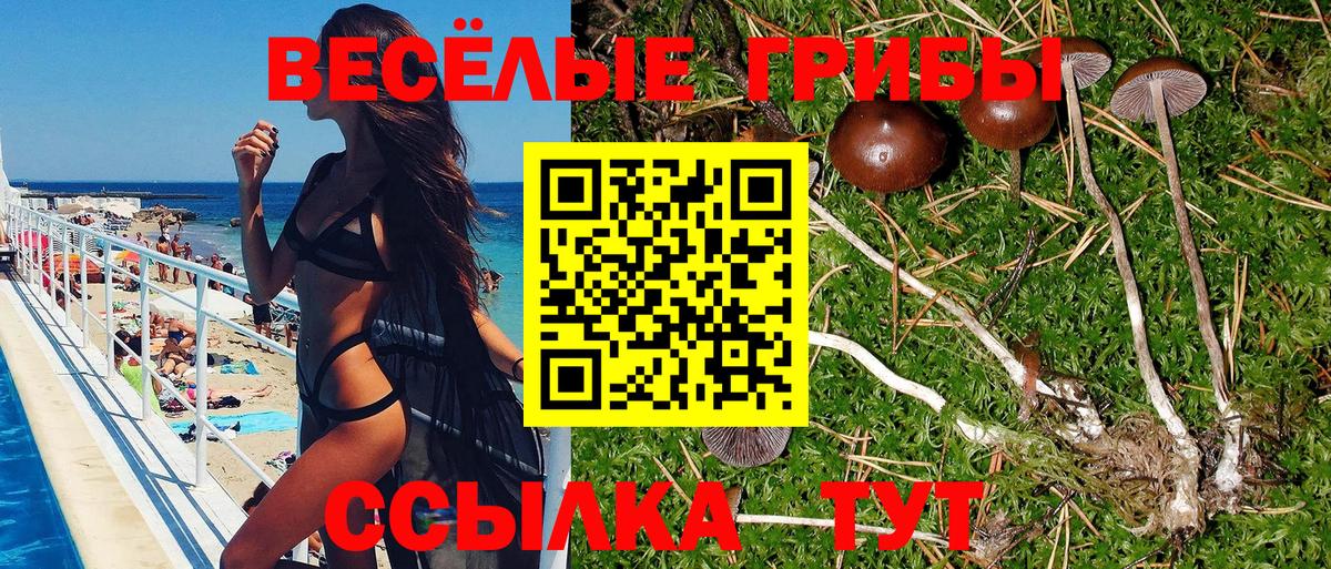 Галлюциногенные грибы GOLDEN TEACHER  Псилоцибиновые грибы прущие грибы  Вход с VPN  Моршанск 